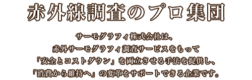 赤外線調査のプロ集団