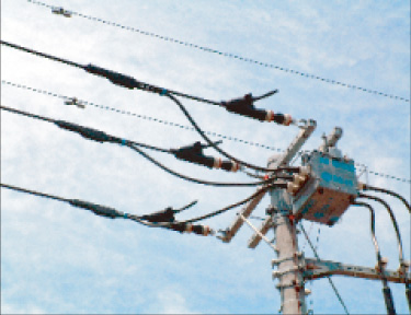 架空配電線の接続部を点検している様子